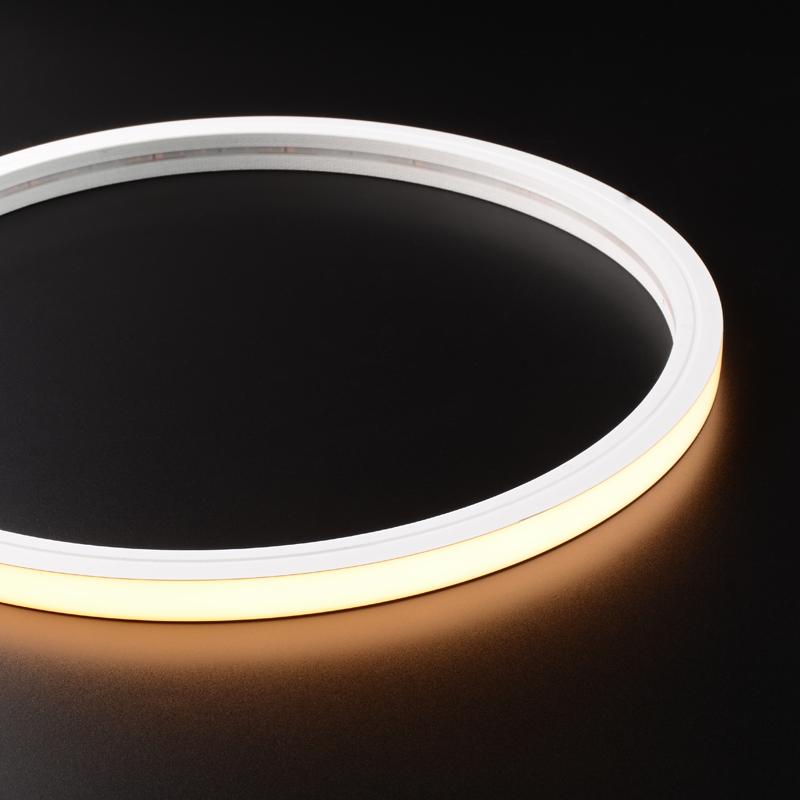 Luz de neón de silicona 1615 ERP